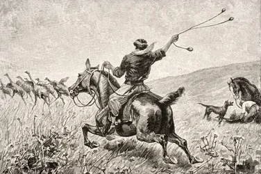 Throwing the Bolas